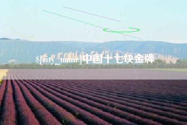 馆陶中国十七块金牌