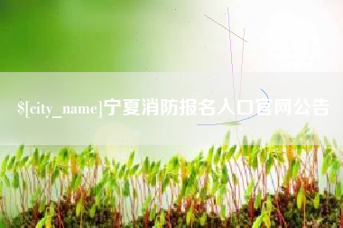 馆陶宁夏消防报名入口官网公告