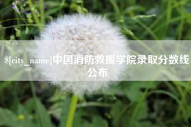 馆陶中国消防救援学院录取分数线公布