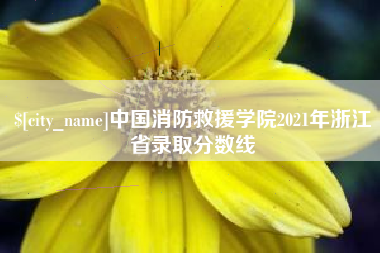 馆陶中国消防救援学院2021年浙江省录取分数线