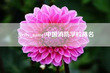 馆陶中国消防学校排名
