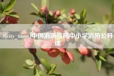 馆陶中国消防官网中小学消防公开课