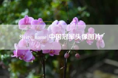 馆陶中国冠军头像图片