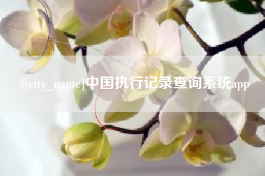 馆陶中国执行记录查询系统app
