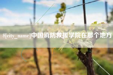 馆陶中国消防救援学院在那个地方