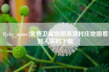 馆陶免费卫星地图高清村庄地图看到人实时下载