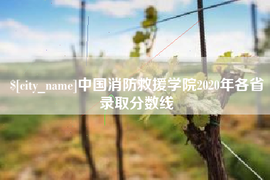 馆陶中国消防救援学院2020年各省录取分数线