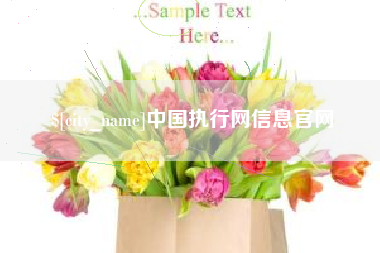 馆陶中国执行网信息官网