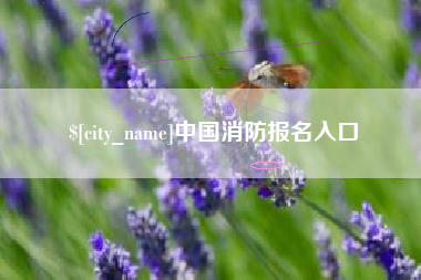 馆陶中国消防报名入口