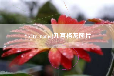 馆陶九宫格龙图片