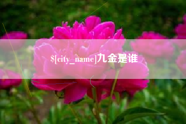 馆陶九金是谁