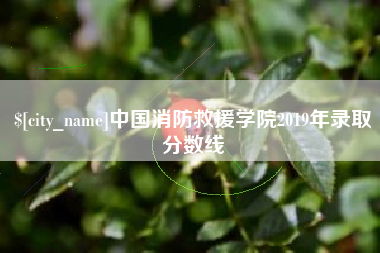 馆陶中国消防救援学院2019年录取分数线