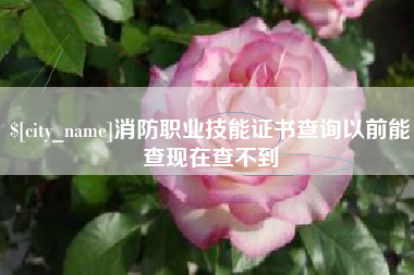 馆陶消防职业技能证书查询以前能查现在查不到