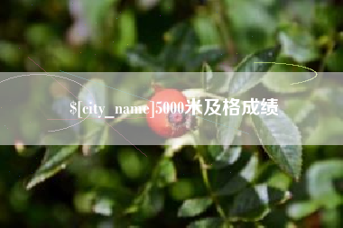 馆陶5000米及格成绩