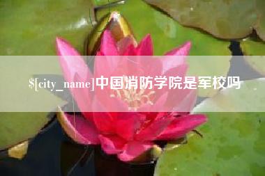 馆陶中国消防学院是军校吗