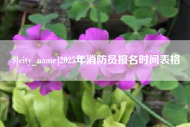 馆陶2025年消防员报名时间表格