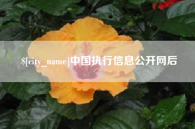 馆陶中国执行信息公开网后