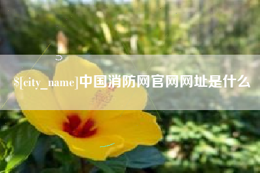 馆陶中国消防网官网网址是什么
