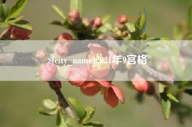 馆陶2021年9宫格
