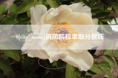 馆陶消防院校录取分数线