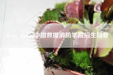 馆陶中国救援消防学院招生简章