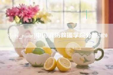 馆陶中国消防救援学院分数2020