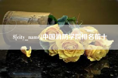 馆陶中国消防学院排名前十