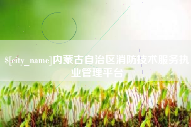 馆陶内蒙古自治区消防技术服务执业管理平台