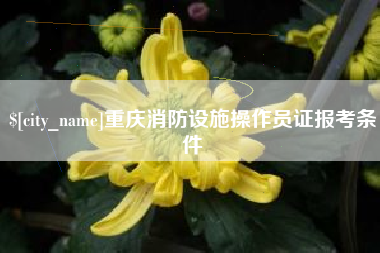 馆陶重庆消防设施操作员证报考条件