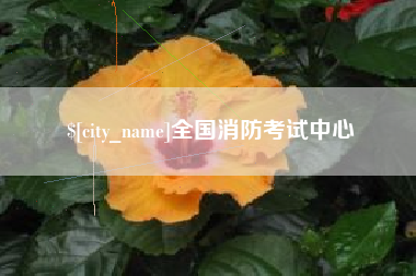 馆陶全国消防考试中心