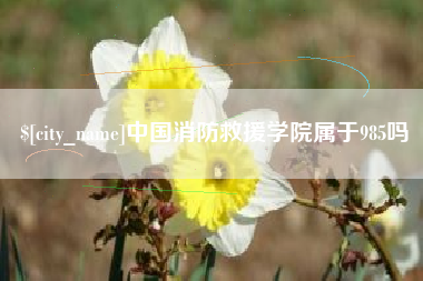 馆陶中国消防救援学院属于985吗