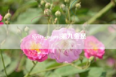 馆陶第九金是