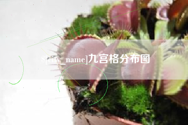 馆陶九宫格分布图