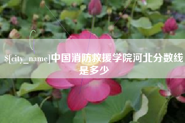 馆陶中国消防救援学院河北分数线是多少