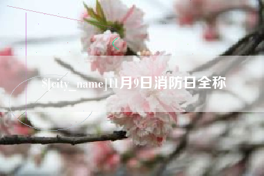 馆陶11月9日消防日全称