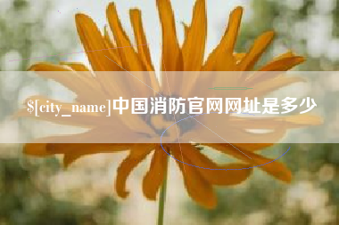 馆陶中国消防官网网址是多少