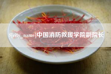 馆陶中国消防救援学院副院长