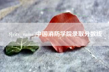 馆陶中国消防学院录取分数线