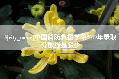 馆陶中国消防救援学院2019年录取分数线是多少