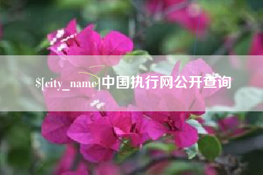 馆陶中国执行网公开查询