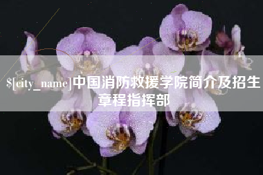 馆陶中国消防救援学院简介及招生章程指挥部