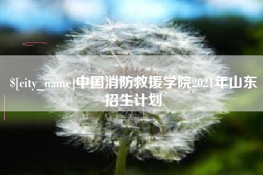 馆陶中国消防救援学院2021年山东招生计划