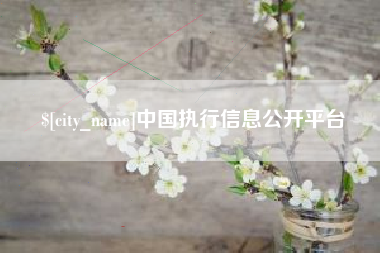 馆陶中国执行信息公开平台