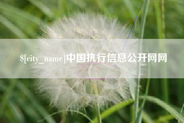 馆陶中国执行信息公开网网