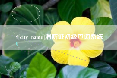 馆陶消防证初级查询系统
