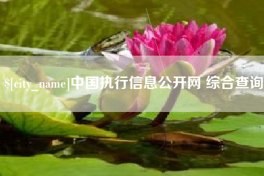 馆陶中国执行信息公开网 综合查询