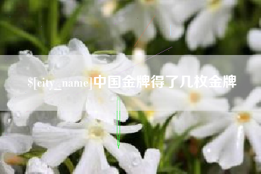 馆陶中国金牌得了几枚金牌