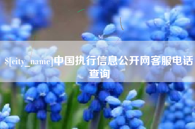 馆陶中国执行信息公开网客服电话查询
