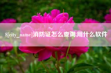 馆陶消防证怎么查询,用什么软件