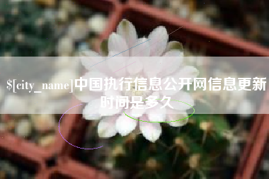 馆陶中国执行信息公开网信息更新时间是多久